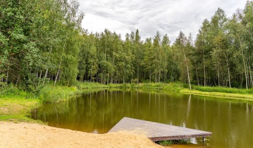 Деревня Долгиниха