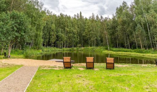 Деревня Долгиниха