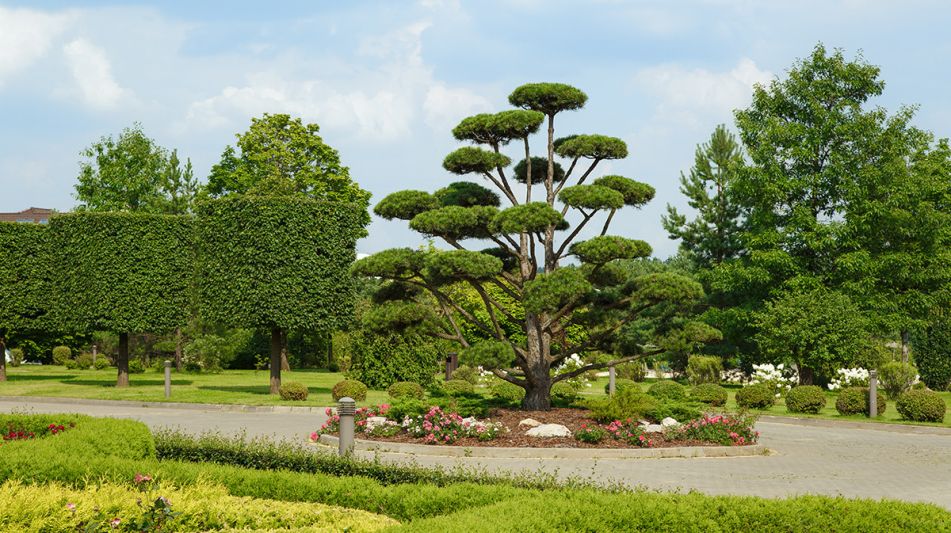 Стильный дом в КП Ренессанс парк