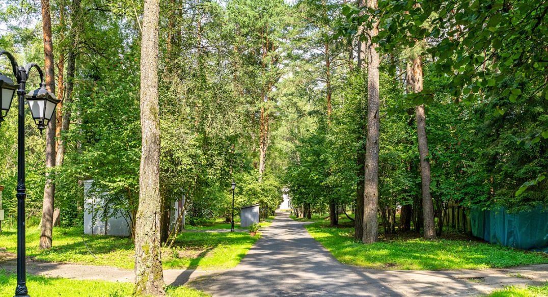 Успенские Дачи-1