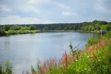 Участок на первой линии в Авроре