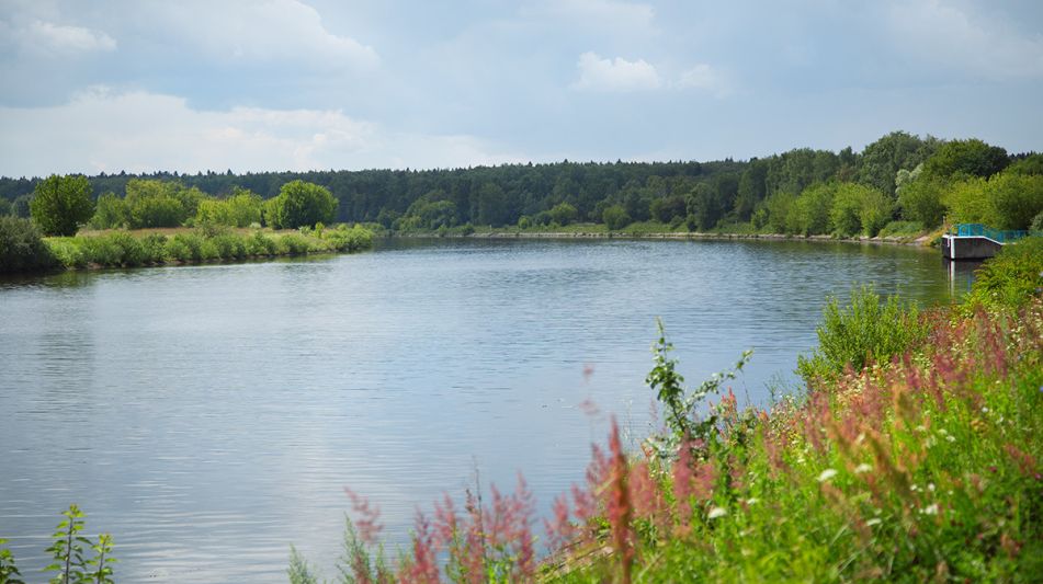 Участок на первой линии в Авроре