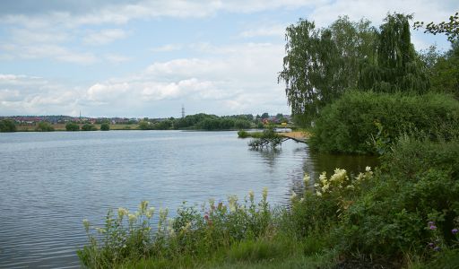 Участок на первой линии в Авроре