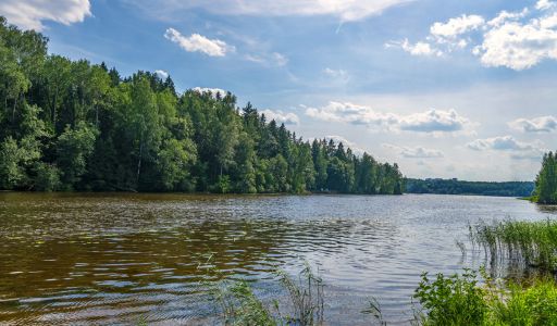 Дом на пруду в Летчике-испытателе