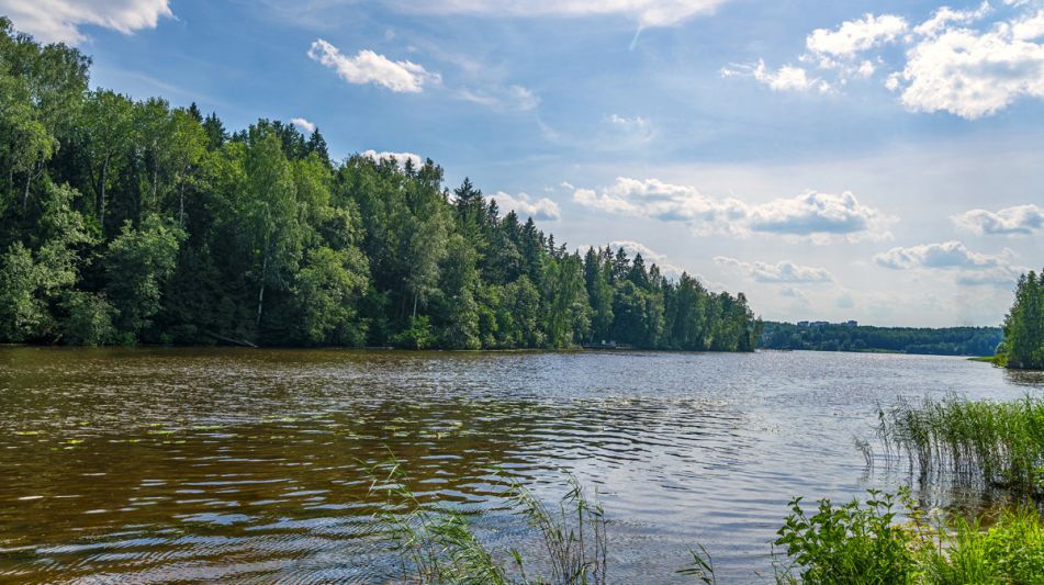 Дом на пруду в Летчике-испытателе