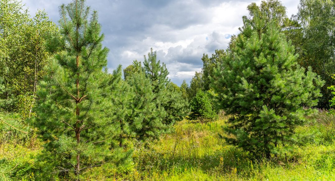 Озерна Резиденс