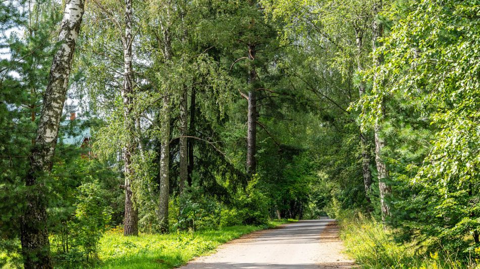 Участок в КП Озерна Резиденс