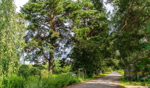 Участок в КП Озерна Резиденс