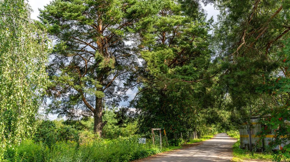 Участок в КП Озерна Резиденс