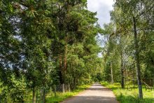 Участок в КП Озерна Резиденс