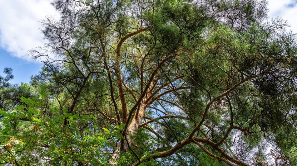 Участок в КП Озерна Резиденс