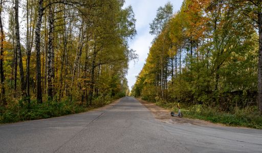 Одноэтажный дом в Мытищах