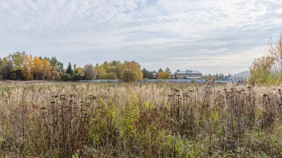 Участок в КП Никольская Слобода