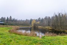 Уютный дом в Дмитровском Полесье