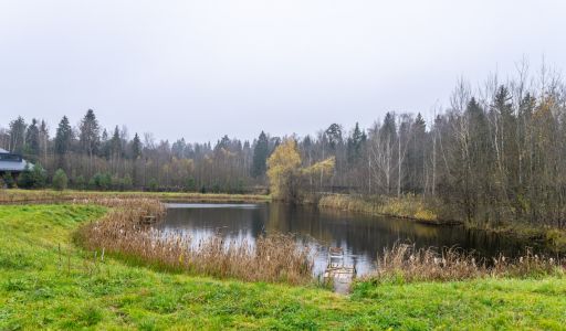 Уютный дом в Дмитровском Полесье