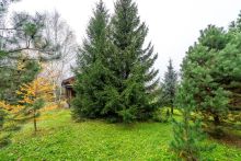 Уютный дом в Дмитровском Полесье