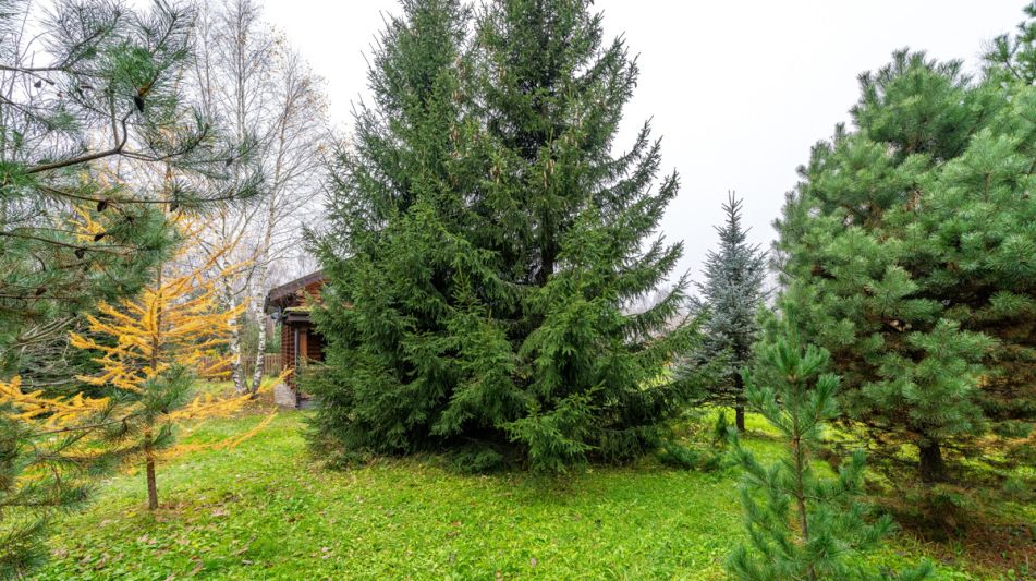 Уютный дом в Дмитровском Полесье