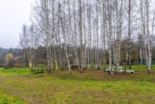 Уютный дом в Дмитровском Полесье