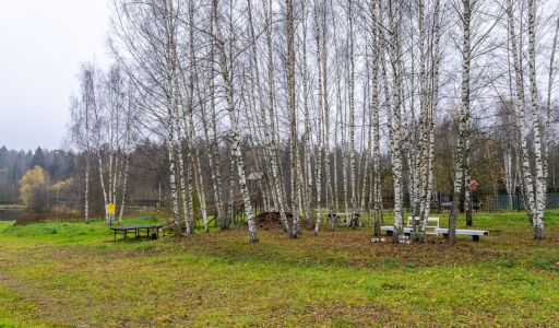 Уютный дом в Дмитровском Полесье
