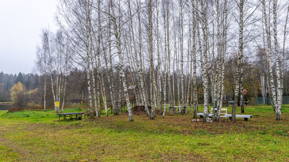 Уютный дом в Дмитровском Полесье