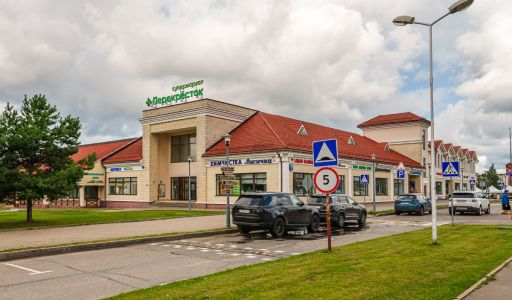 Дом с бассейном в поселке Новинки