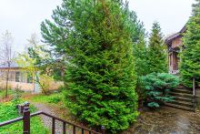 Дом в поселке 