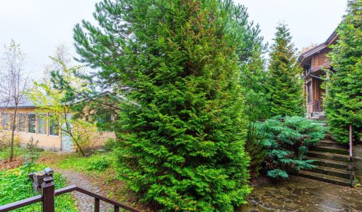 Дом в поселке 