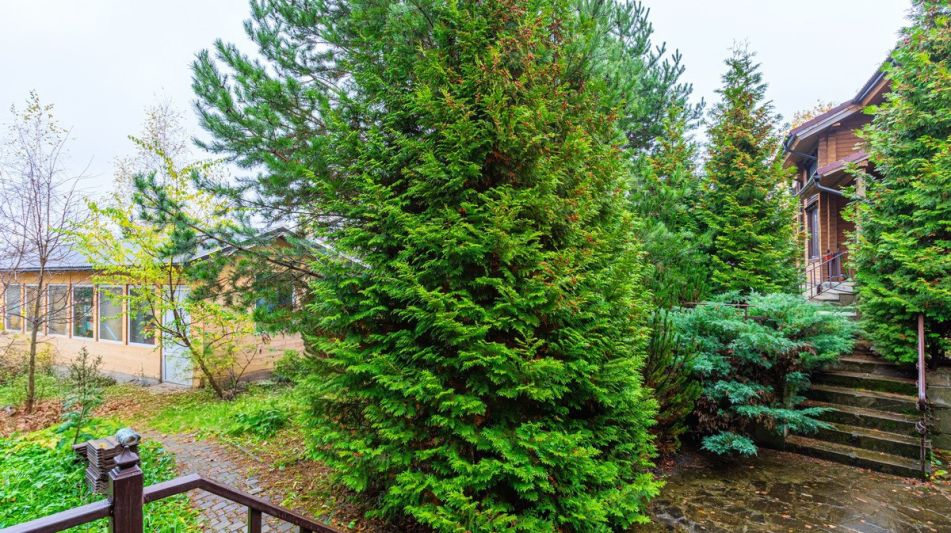 Дом в поселке 