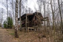 Лесной участок в д.Муракино