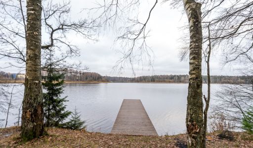 Участок в лесу КП Среди Своих