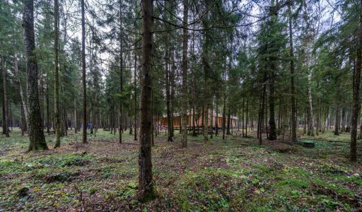 Участок в лесу КП Среди Своих