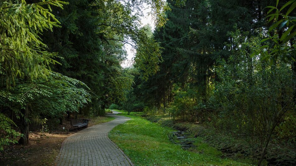 Участок в КП Новогорск-7