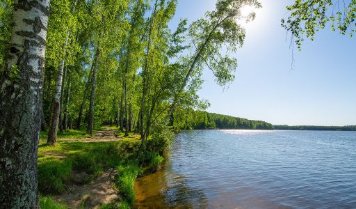 Видовой участок в КП Аврора