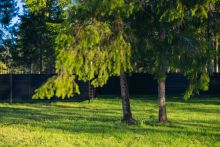 Участок у воды в КП Ели Эстейт