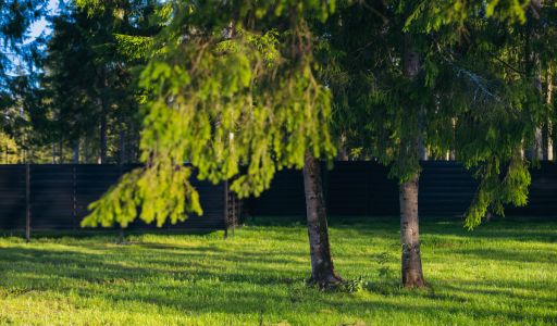 Лесной участок в КП Ели Эстейт