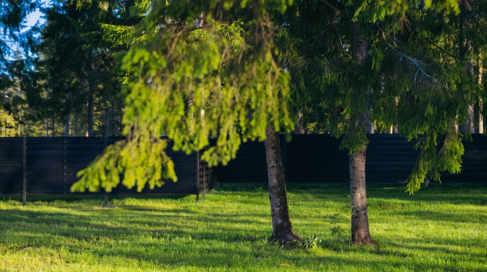 Участок у воды в КП Ели Эстейт