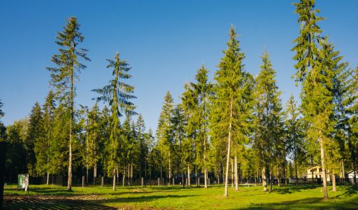 Участок у воды в КП Ели Эстейт