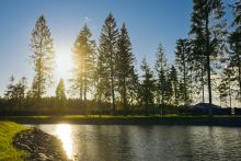 Участок у воды в КП Ели Эстейт