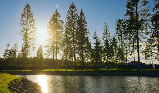 Участок у воды в КП Ели Эстейт