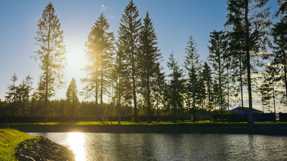 Участок у воды в КП Ели Эстейт