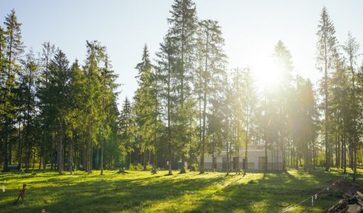 Лесной участок в КП Ели Эстейт