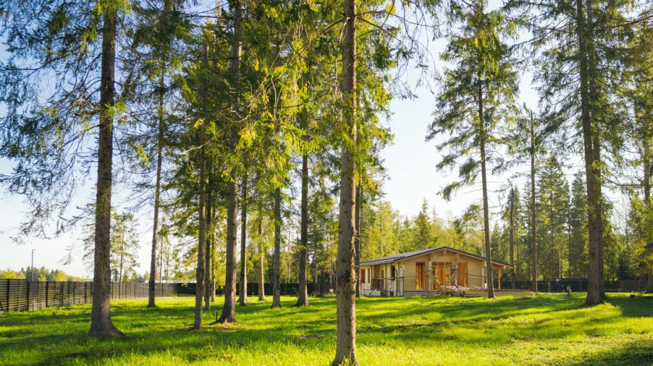 Лесной участок в КП Ели Эстейт