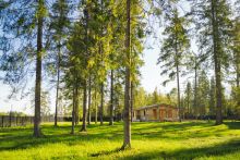 Лесной участок в КП Ели Эстейт