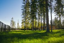 Лесной участок в КП Ели Эстейт