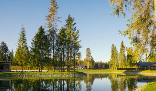 Лесной участок в КП Ели Эстейт