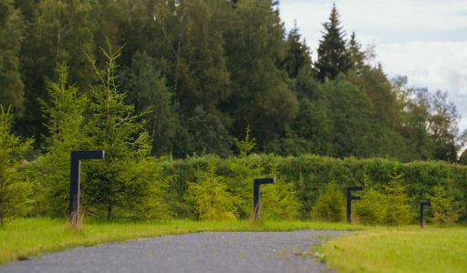 Лесной участок в КП Ели Эстейт