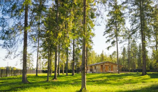 Лесной участок в КП Ели Эстейт