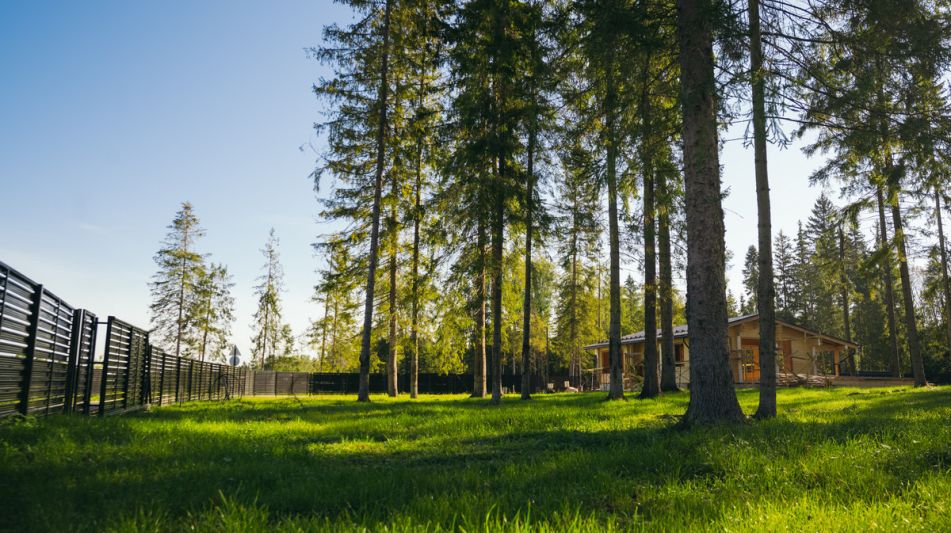 Лесной участок в КП Ели Эстейт