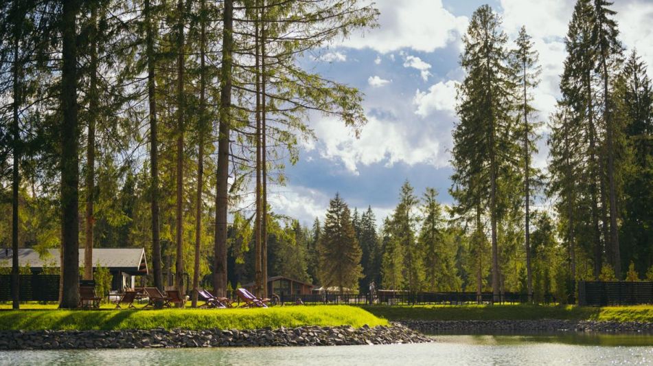 Лесной участок в КП Ели Эстейт