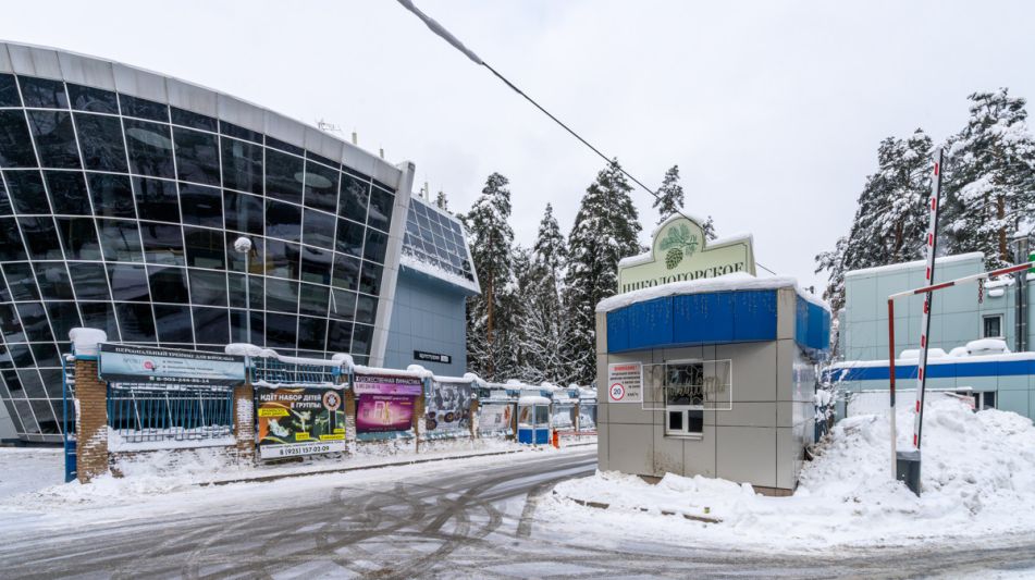 Дом с бассейном КП Никологорское